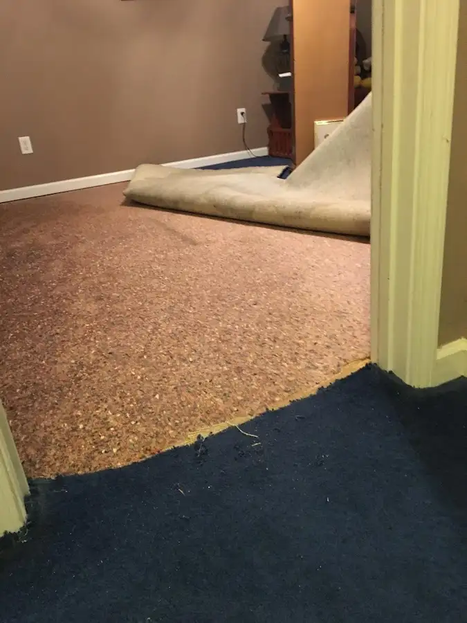 Carpet pad removal revealing water damage during Water Mitigation Services in Hyattsville