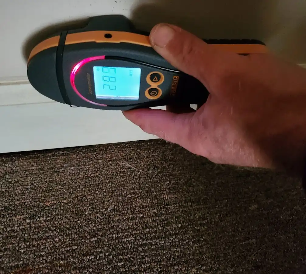 Moisture detection at baseboard during Sewage Cleanup & Sanitation in Hyattsville